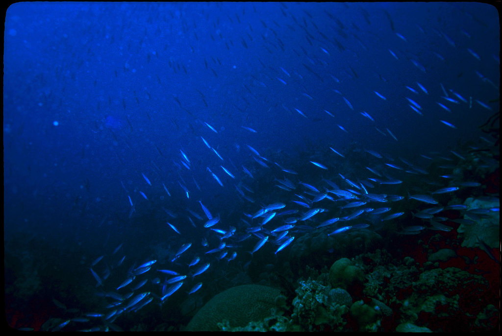 Featured image of post 【譯作】政府與自然資源｜Government vs. Natural Resources