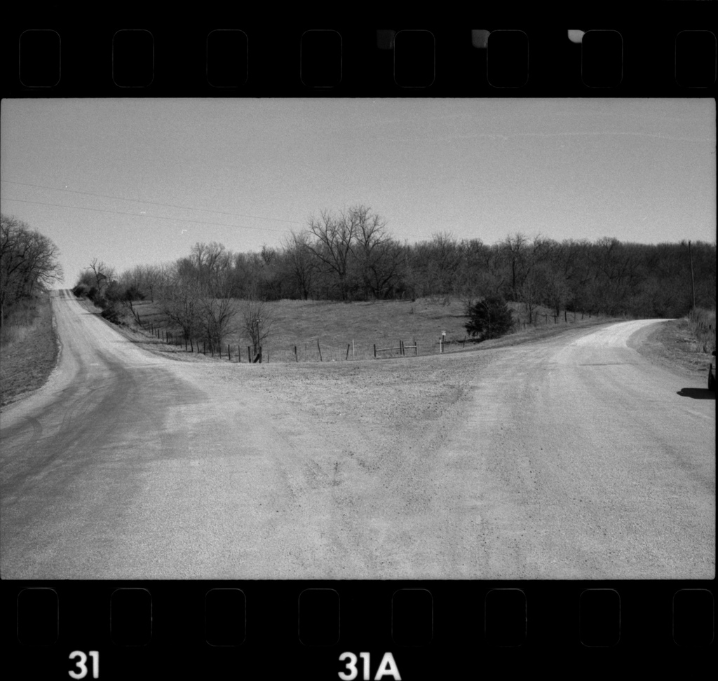 Featured image of post 【譯作】思想，自由與不自由｜Ideas, Free and Unfree（我們時代的重商主義）