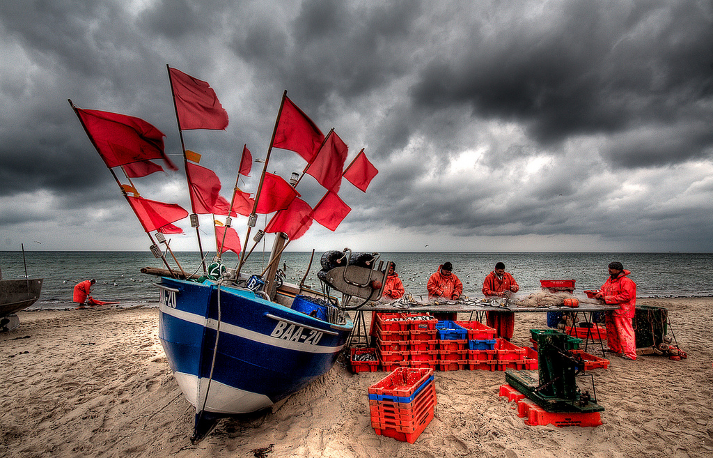 Featured image of post 【譯作】歡迎越南裔漁民｜Welcoming the Vietnamese