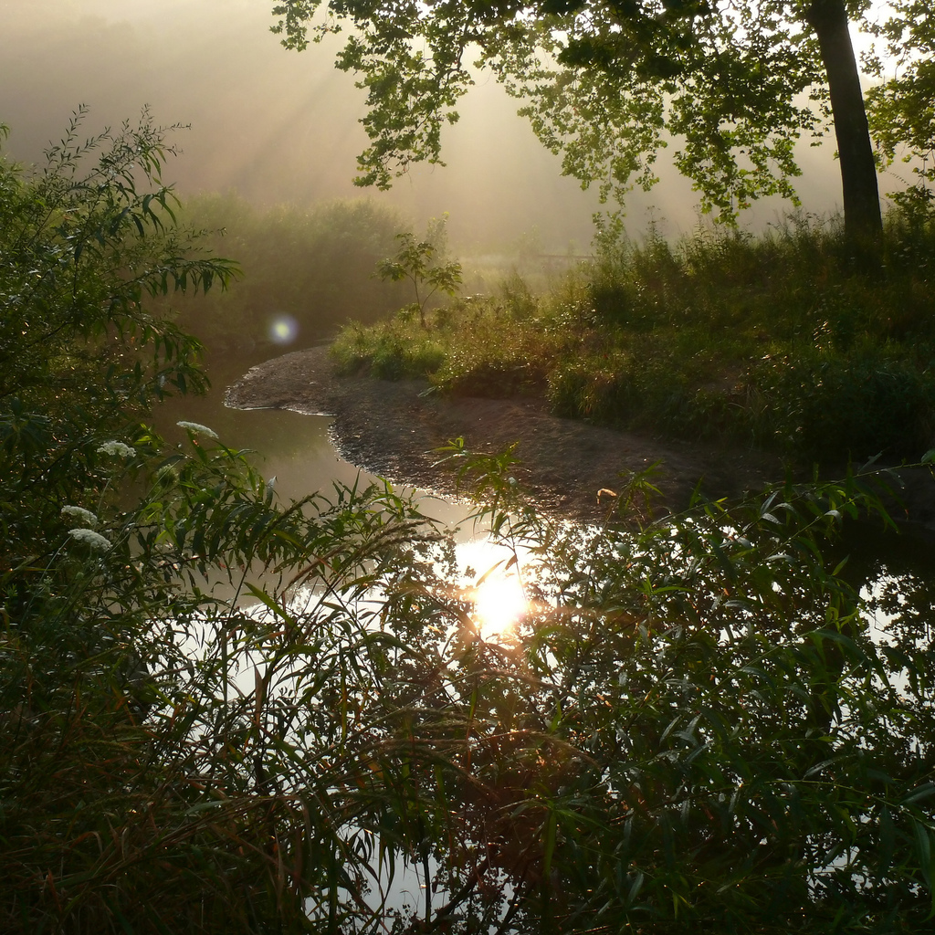 Featured image of post 【譯作】政府的反文明效應｜The Decivilizing Effects of Government