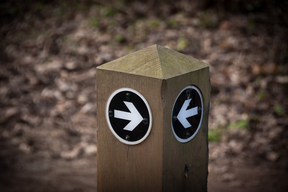 Featured image of post 【譯作】淺談供給面學派｜A Walk on The Supply Side