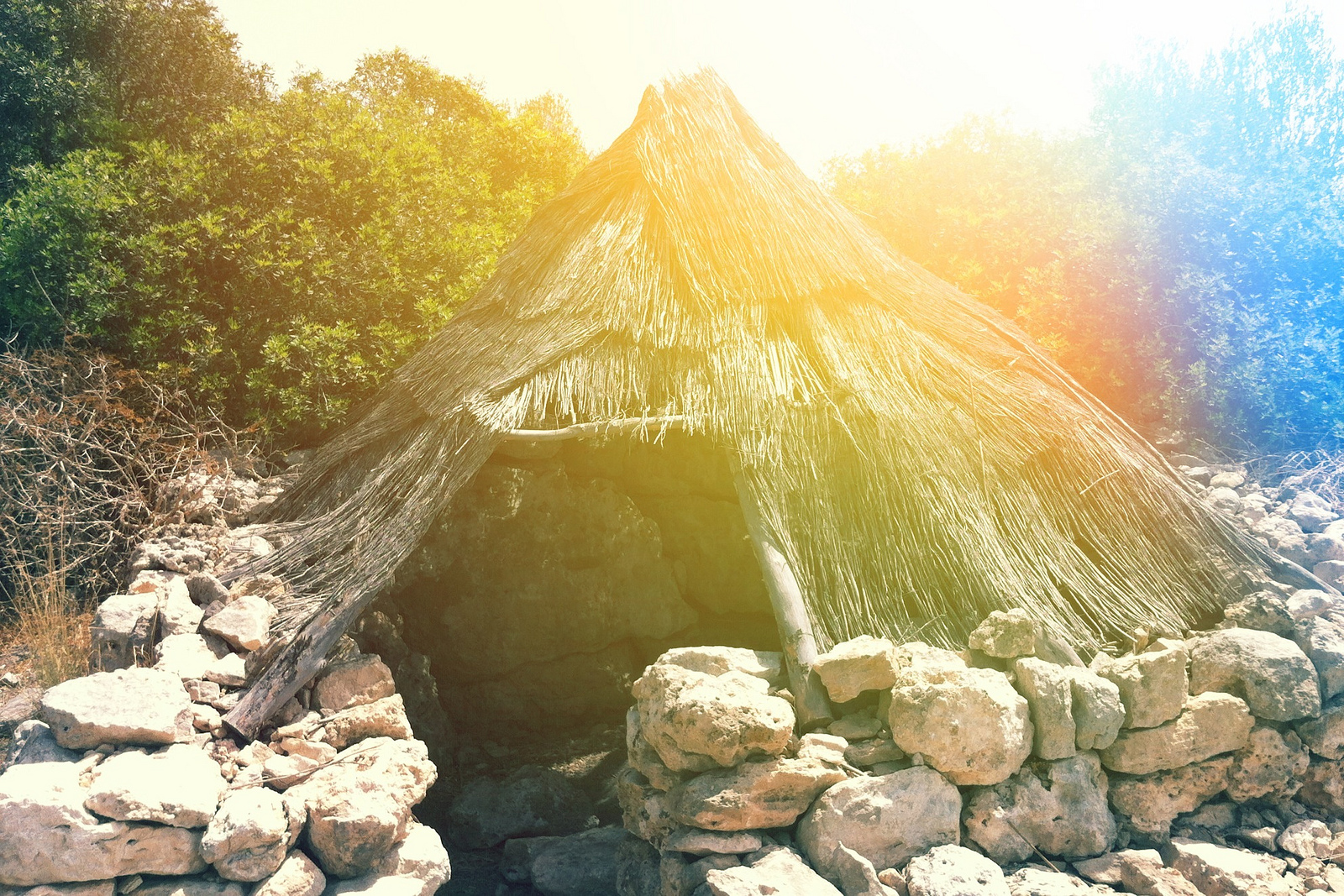 Featured image of post 【譯摘】年輕人的經濟課 - 4.「魯賓遜漂流記」經濟學