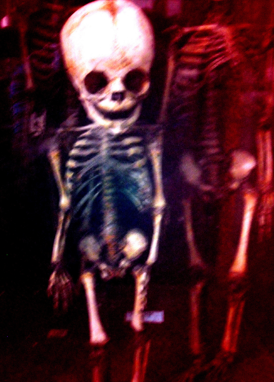 Featured image of post 【譯作】嬰兒死亡率「危機」｜The Infant Mortality "Crisis"