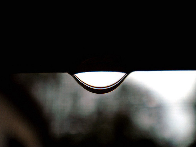 Featured image of post 【譯文】統計：由內擊破？｜Statistics: Destroyed From Within?