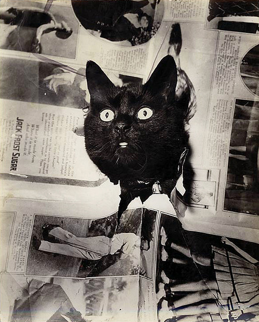 Featured image of post 【譯作】討論「議題」｜Discussing The "Issues"