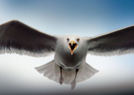 Featured image of post 【譯作】三項對文明的再攻擊｜Three More Attacks on Civilization