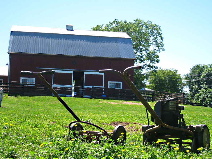 Featured image of post 【譯作】割草機可以教我們什麼｜What Lawnmowers Can Teach Us